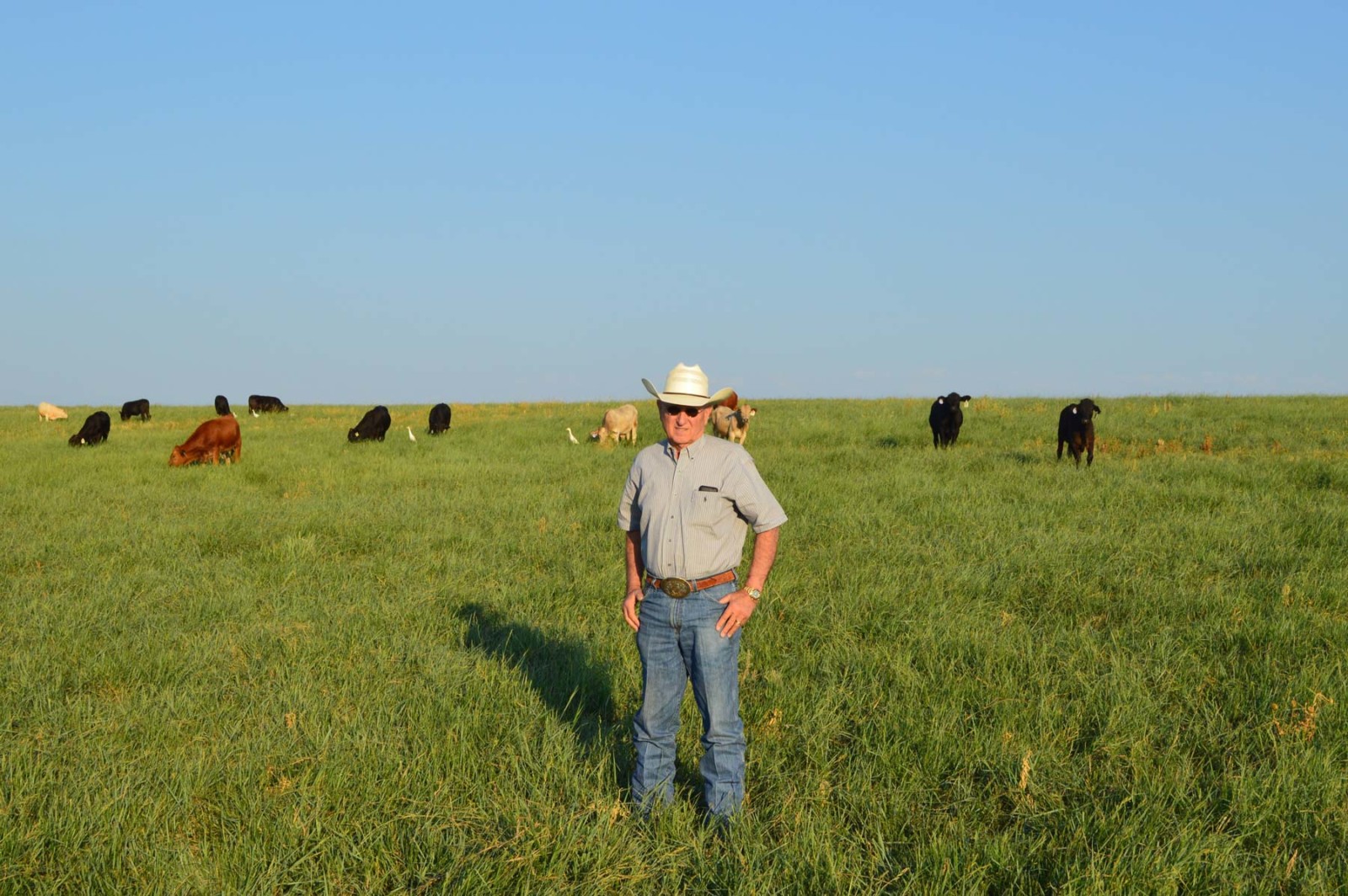 The BarG Feedyard JBS USA Sustainability Report